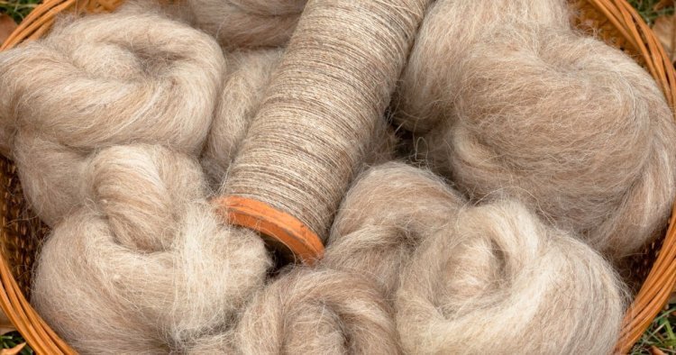 The Australia Wool Market: Trends and Future Outlook