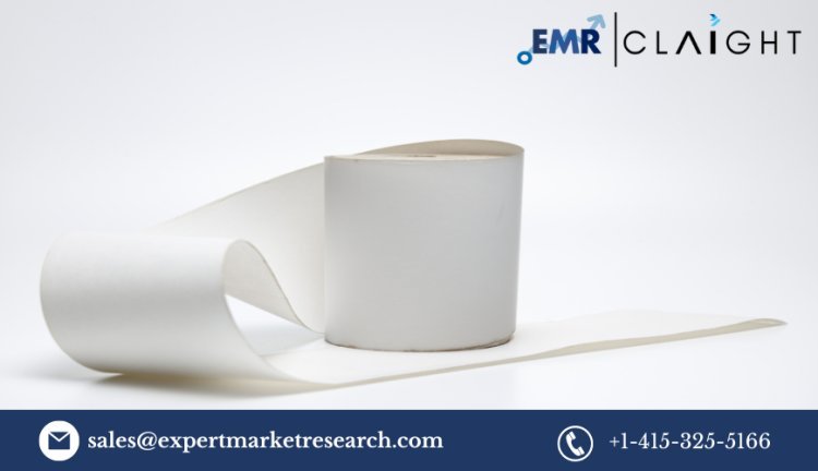 The Global Thermal Paper Market: Trends, Insights, and Future Projections