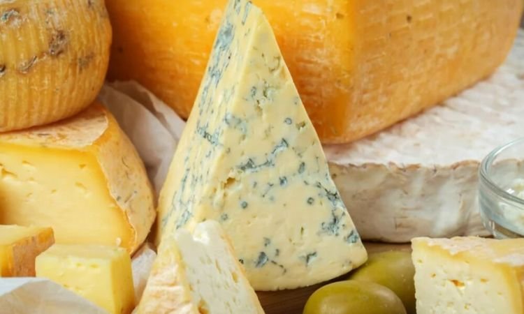 Insights into the Cheese Analogue Market (2024-2032)