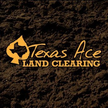 How Land Clearing Improves Property Value and Usability