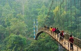 10 Unexpected Meghalaya Tour Package From Mumbai Tips