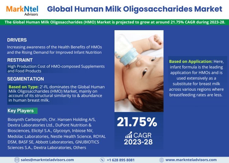 Exploring Human Milk Oligosaccharides (HMO) Market Opportunity, Latest Trends, Demand, and Development By 2028