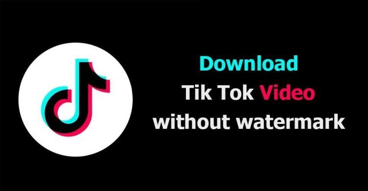 Download Snaptik: The Best Tool for TikTok Video Downloads Without Watermark