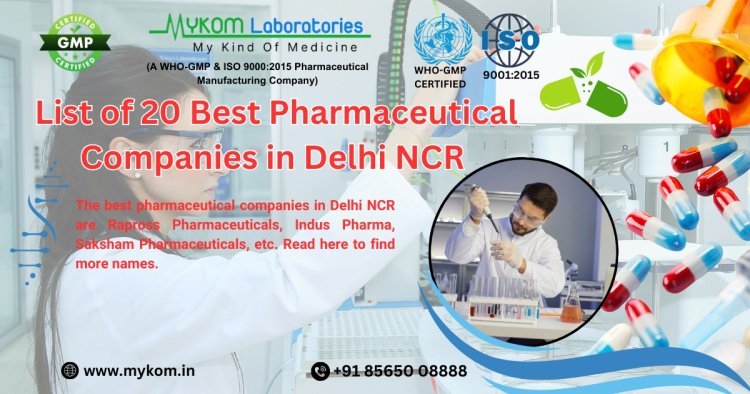 Exploring the Role of Pharmaceutical Companies in Delhi NCR in Global Healthcare