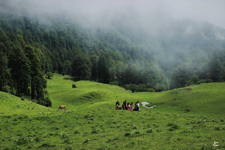 Discovering Dayara Bugyal trek : A Trekker's Delight