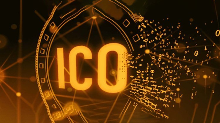 Hivelance The ICO Development Company That Delivers Guaranteed Results