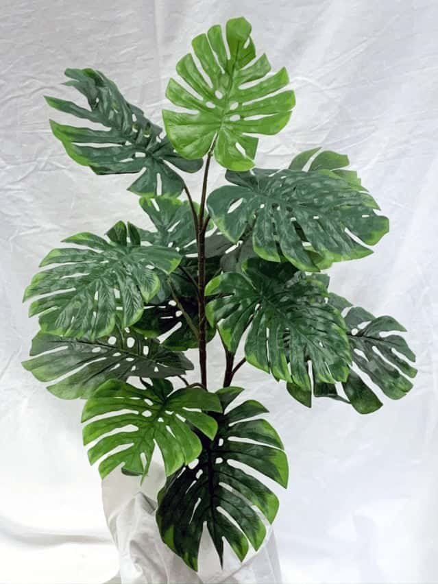 Artificial Vine Plants and Green Plants: Beautify Your Space with Silk Plants Canada