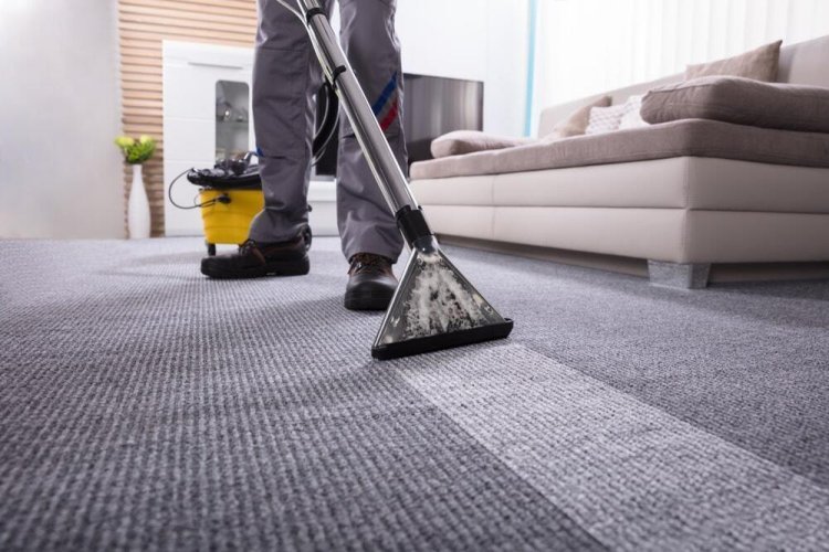 ﻿﻿﻿Why Professional Carpet Cleaning Services Are Vital for a Healthy Home