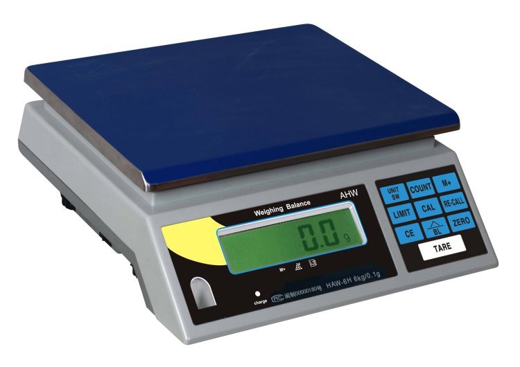 Electronic Weighing Scale Market Share Surge to New Values for Forecast Year 2025-2034