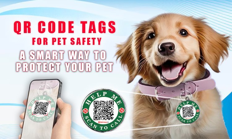 QR Sticker for Pet Safety: A Smart Way to Protect Your Pet