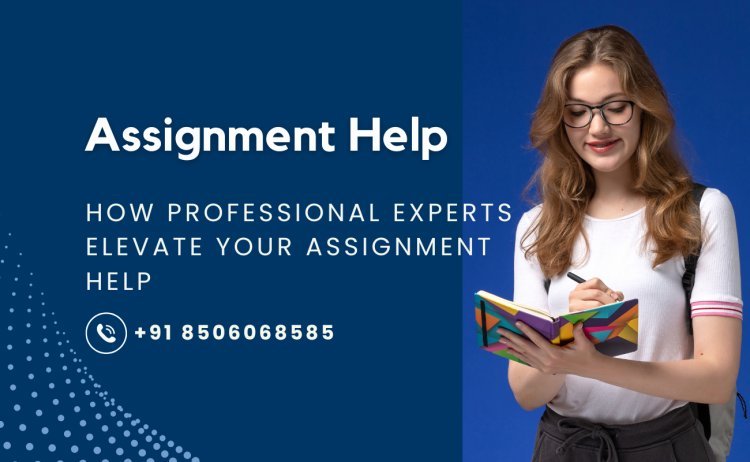 How Professional Experts Elevate Your Assignment Help