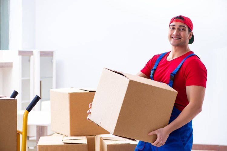 The Movers And Packers Sector 49 Gurgaon Case Study You'll Never Forget