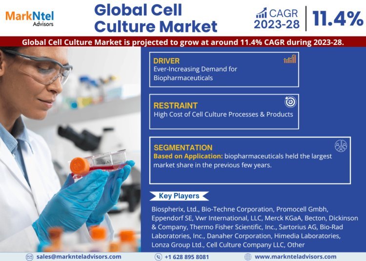 Cell Culture Market Dynamics – Driver, Challenge, Segment & Competition FY2028