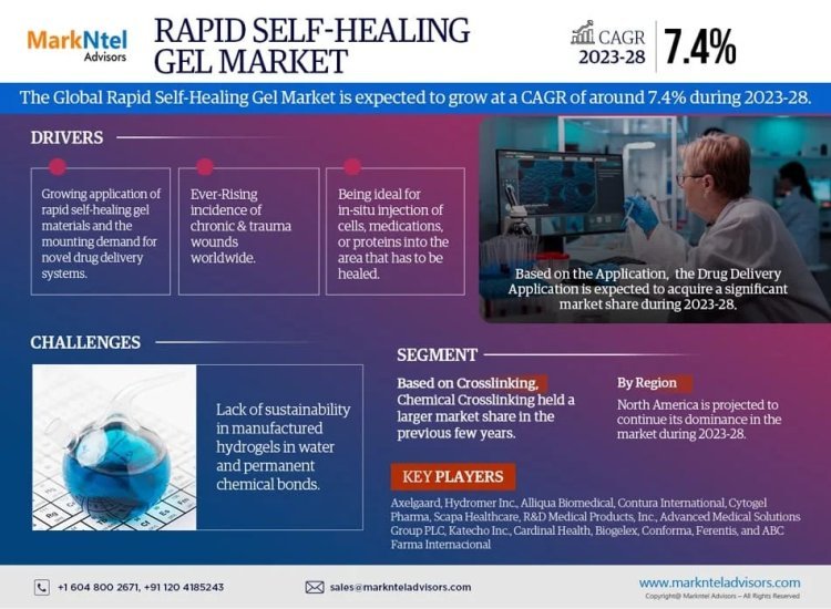 Rapid Self-healing Gel Market Growth and Development Insight - Size, Share, Growth, and Industry Analysis | MarkNtel