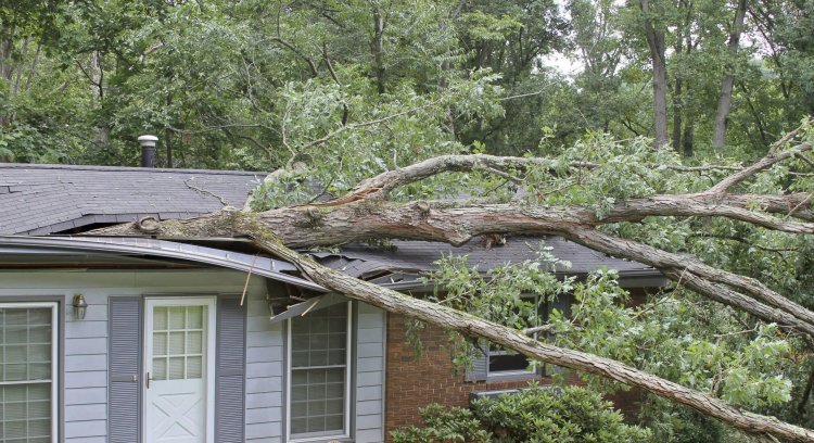 Why You Need a Professional Crane Service Company in CT for Heavy Lifting & Tree Removal