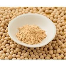 Comprehensive Approach to Setting Up a Soybean Powder Manufacturing Plant | IMARC Group Report