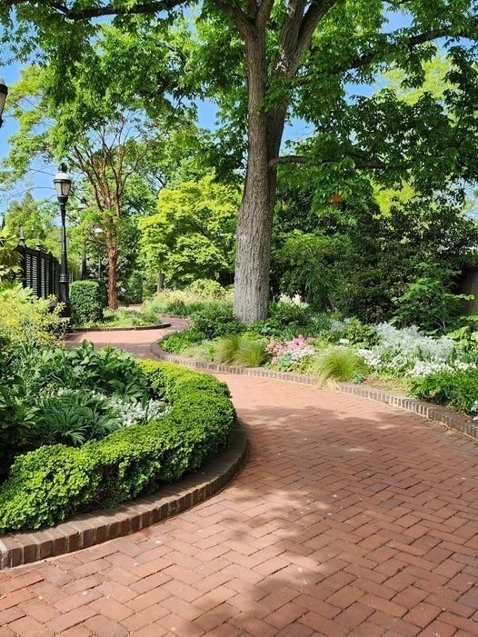 5 Solutions to Common Landscaping Problems